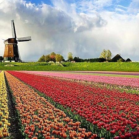 Logeren Op Dijk43 Hotel Broek op Langedijk ห้อง รูปภาพ