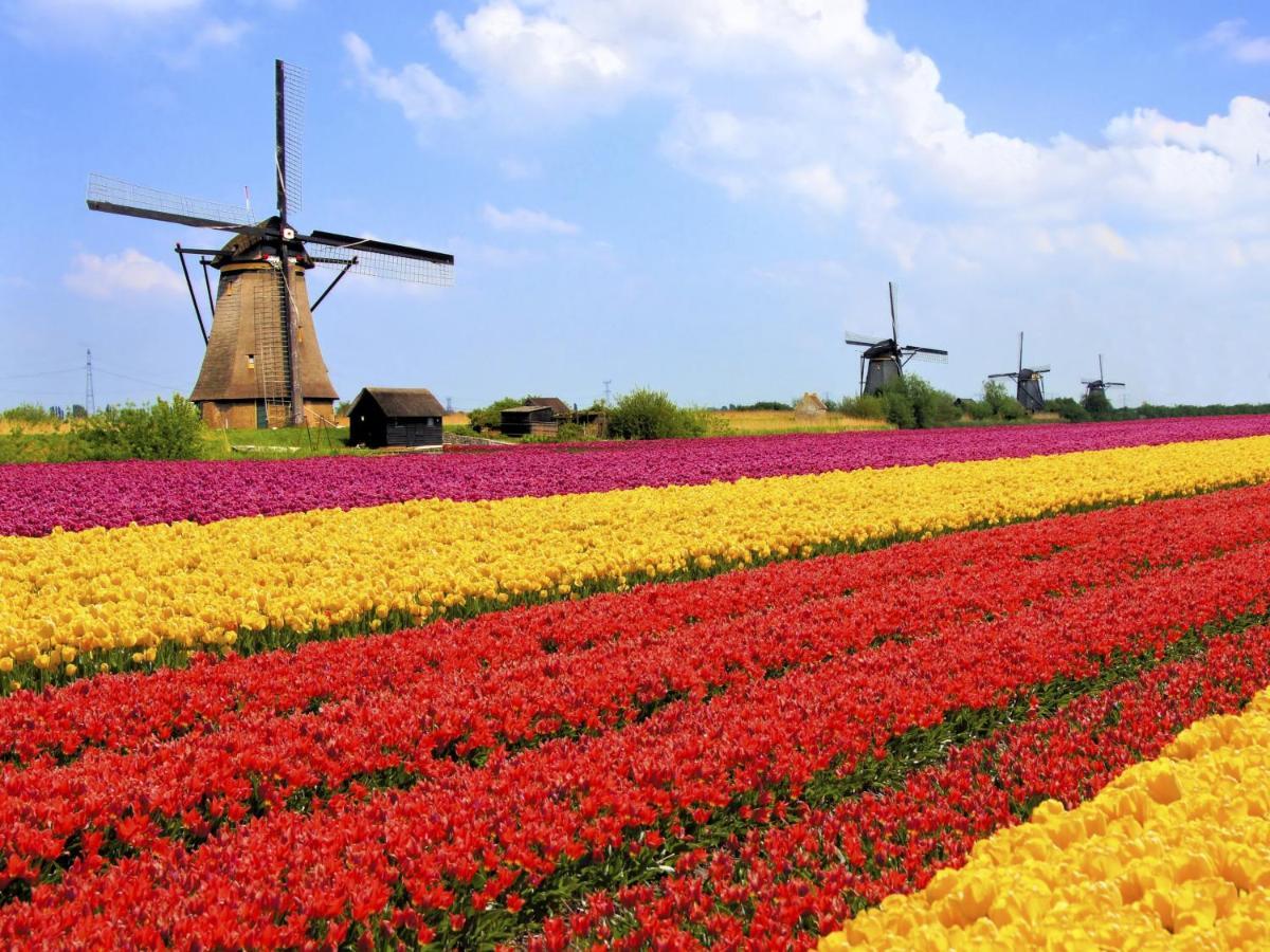 Logeren Op Dijk43 Hotel Broek op Langedijk ภายนอก รูปภาพ
