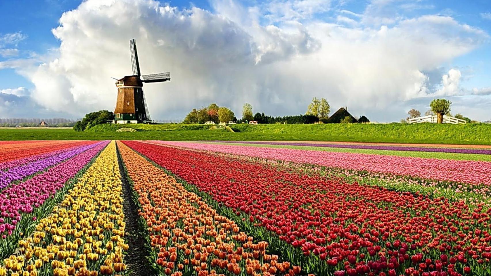 Logeren Op Dijk43 Hotel Broek op Langedijk ห้อง รูปภาพ
